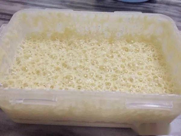 酵母 面團發酵的靈魂 食品加工用酵母與天然酵母 以及野生酵母的區別與用途